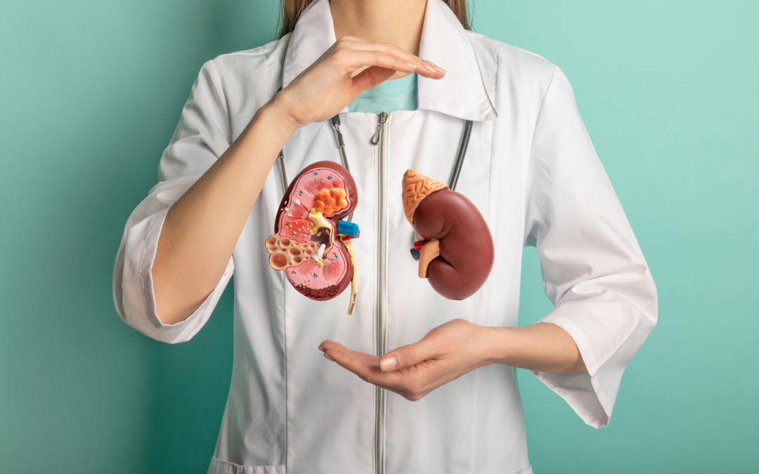 Journée Mondiale du rein